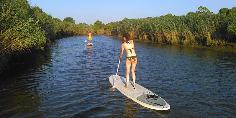 stand-up paddle sur la leyre