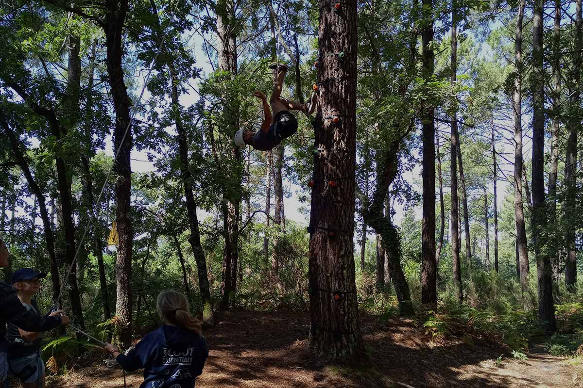 Mur d'escalade et escald'arbre à Biscarosse dans les Landes