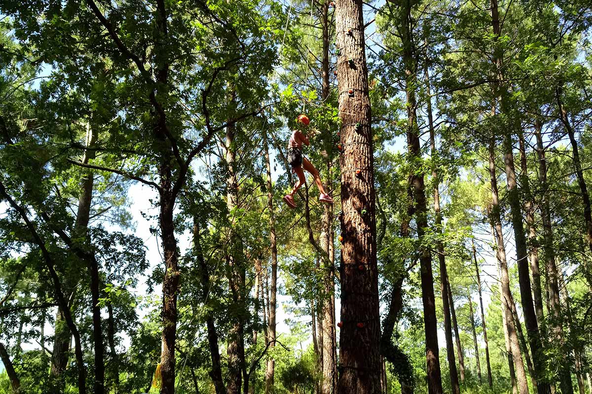 Mur d'escalade et escald'arbre à Biscarosse dans les Landes