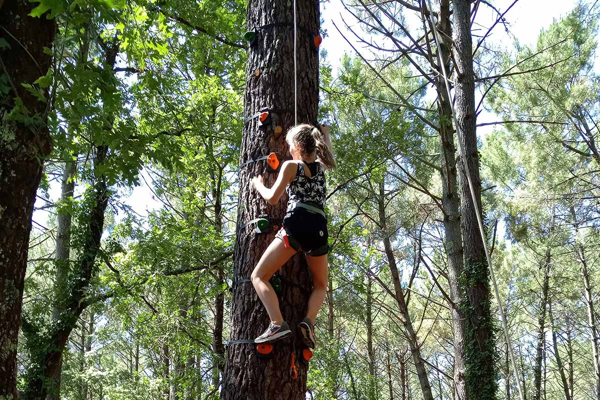 escalade d'arbre yakocean