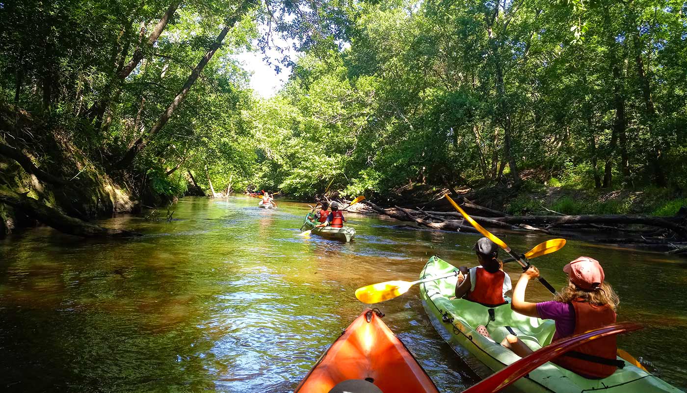 Descente de la Leyre en canoë kayak