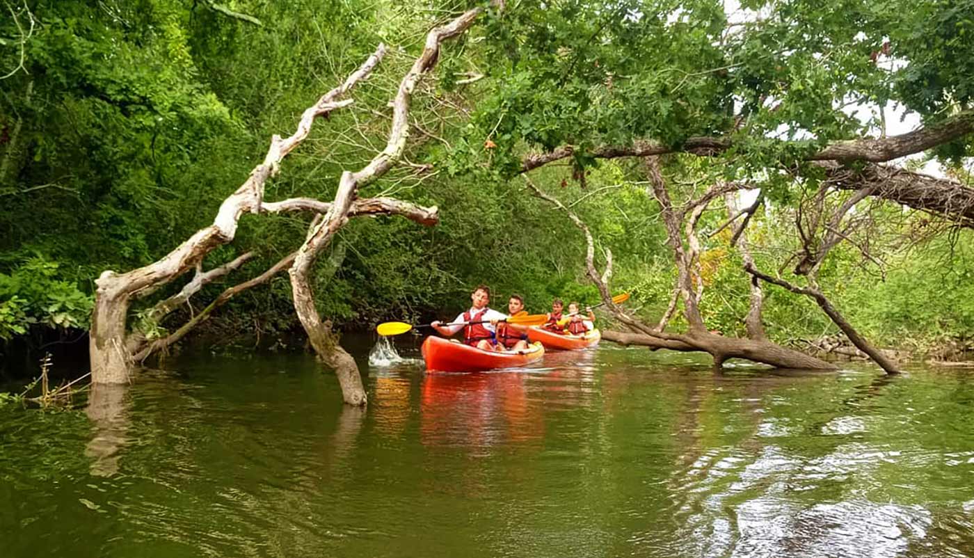 Descente de la Leyre en canoë kayak