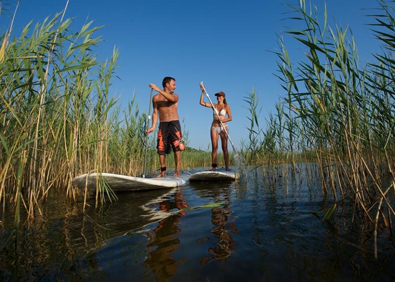 Location de stand up paddle à Sanguinet