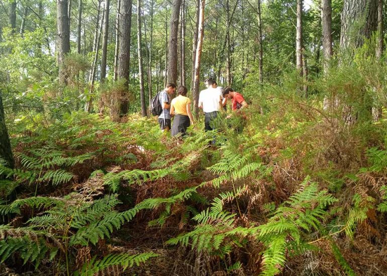 Parcours d'orientation Sanguinet