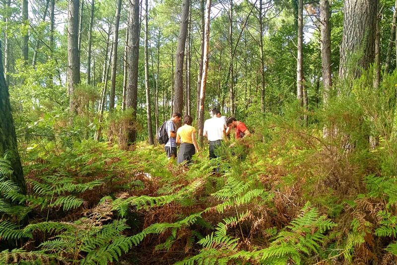 Parcours d'orientation sur le bassin d'arcachon