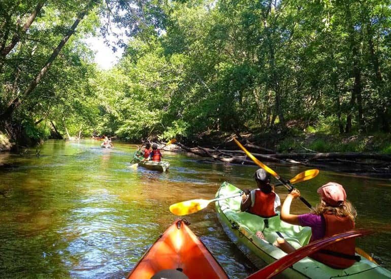 Descent of the Leyre by canoe-kayak