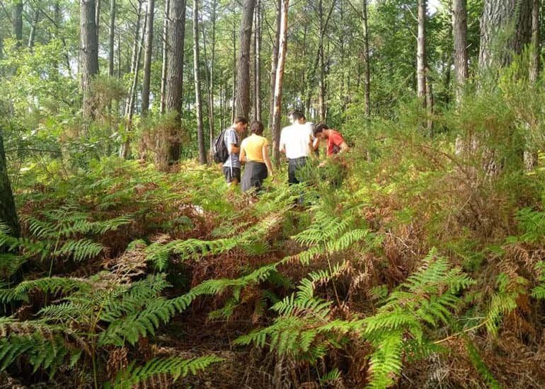 Sanguinet orienteering course