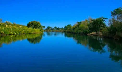 Delta de Leyre
