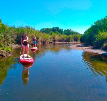 Delta de Leyre en stand-up paddle