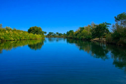 Delta de Leyre
