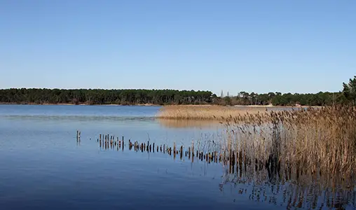 Lac de Sanguinet