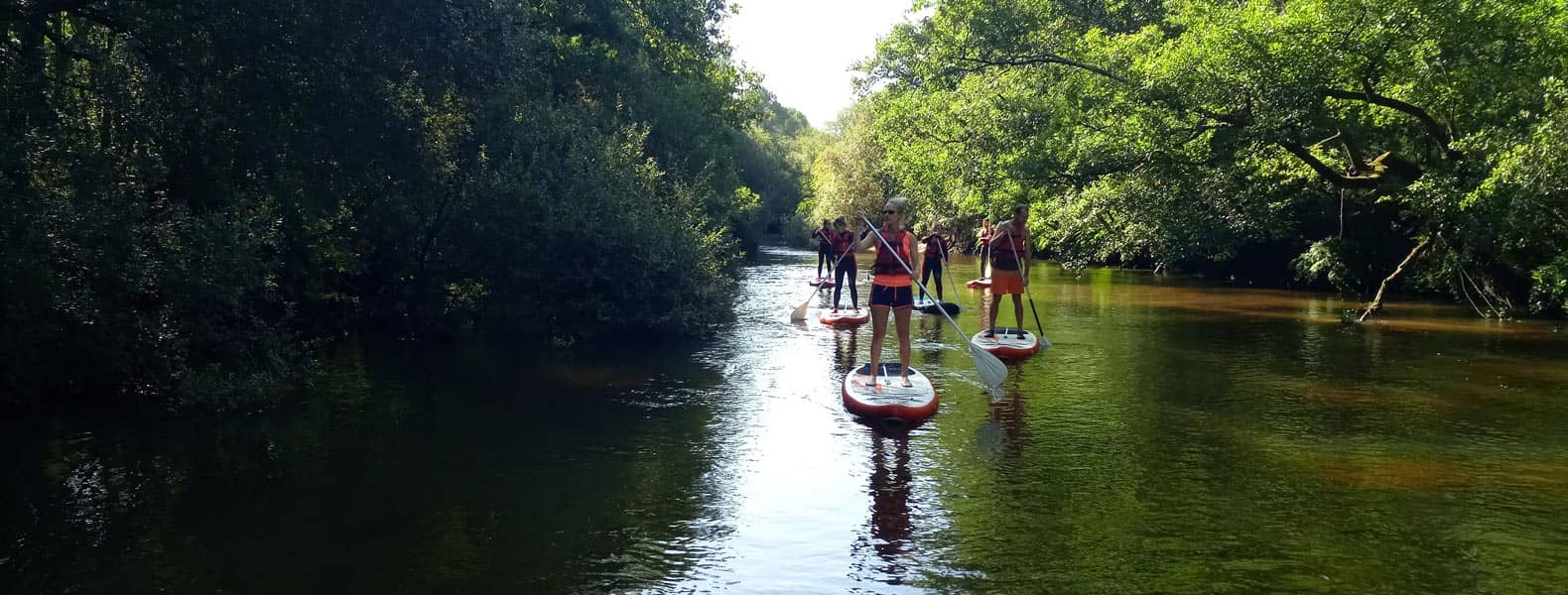 paddle Descente de la Leyre