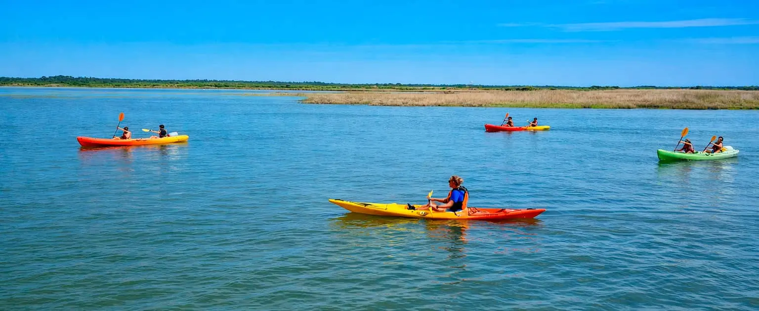 Randonnée en kayak sur le Delta de la Leyre