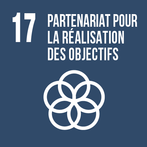 RSE 17 - partenariat pour la réalisation des objectifs