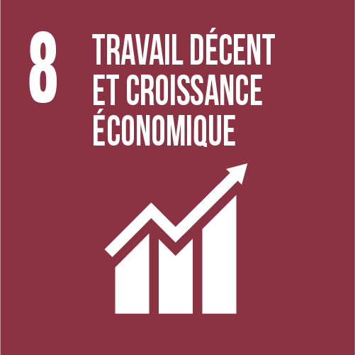 RSE 8- travail decent et croissance économique