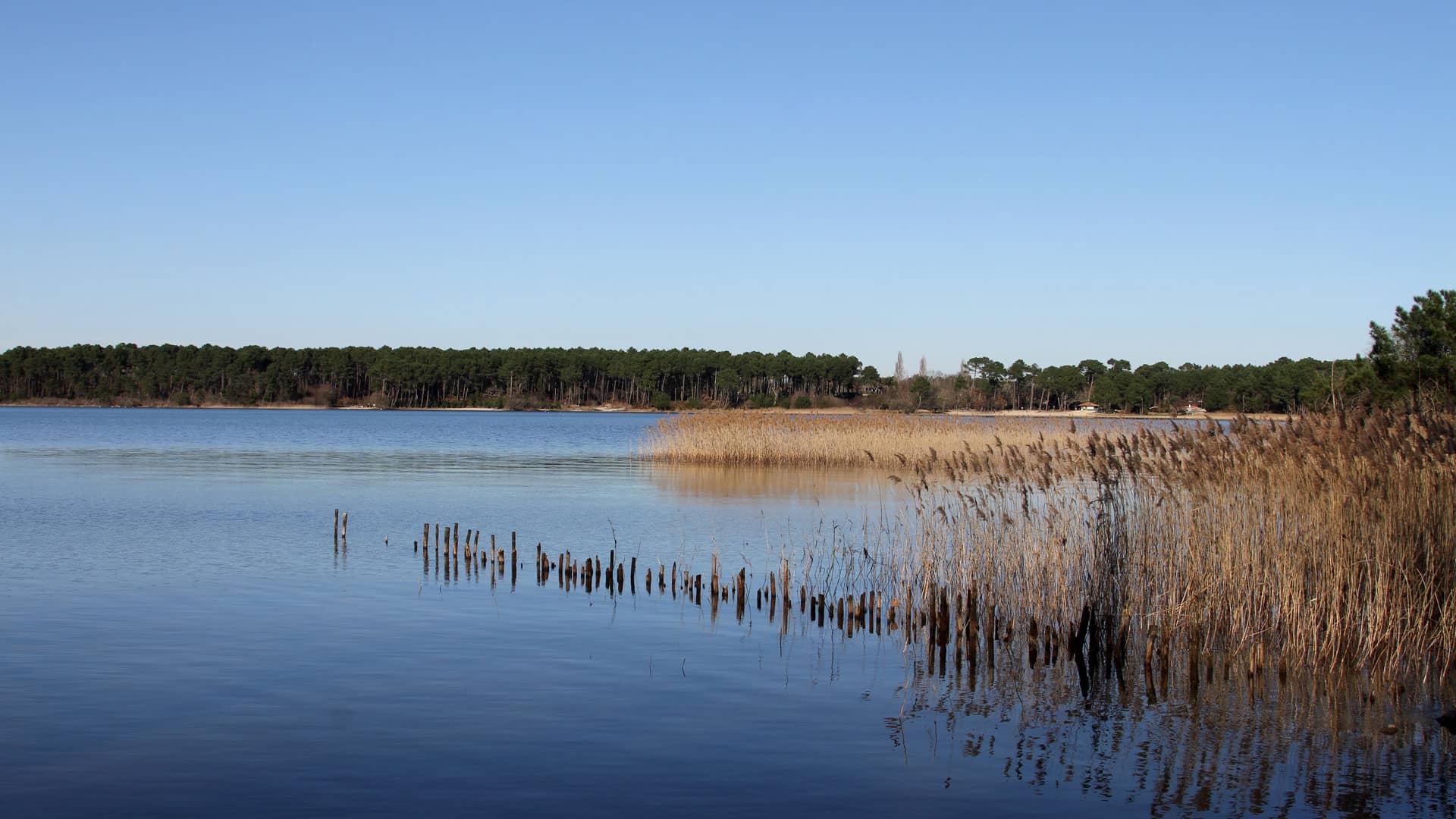 Lac de sanguinet